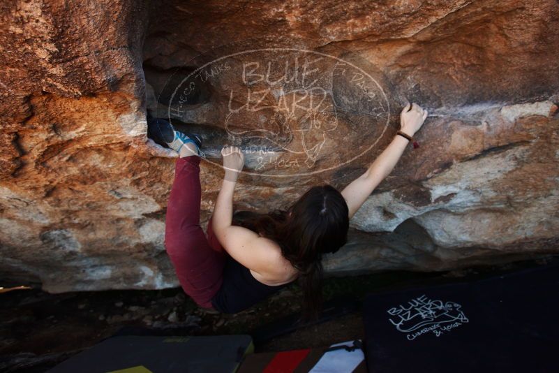 Bouldering in Hueco Tanks on 11/02/2018 with Blue Lizard Climbing and Yoga
Filename: SRM_20181102_1355320.jpg
Aperture: f/4.0
Shutter Speed: 1/250
Body: Canon EOS-1D Mark II
Lens: Canon EF 16-35mm f/2.8 L