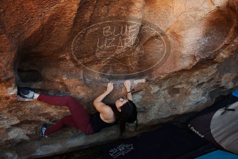 Bouldering in Hueco Tanks on 11/02/2018 with Blue Lizard Climbing and Yoga
Filename: SRM_20181102_1355430.jpg
Aperture: f/4.0
Shutter Speed: 1/320
Body: Canon EOS-1D Mark II
Lens: Canon EF 16-35mm f/2.8 L