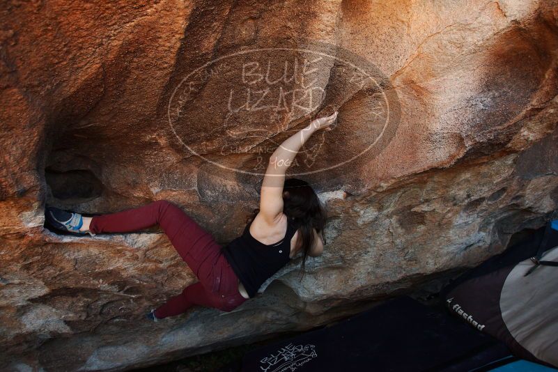 Bouldering in Hueco Tanks on 11/02/2018 with Blue Lizard Climbing and Yoga
Filename: SRM_20181102_1355450.jpg
Aperture: f/4.0
Shutter Speed: 1/320
Body: Canon EOS-1D Mark II
Lens: Canon EF 16-35mm f/2.8 L