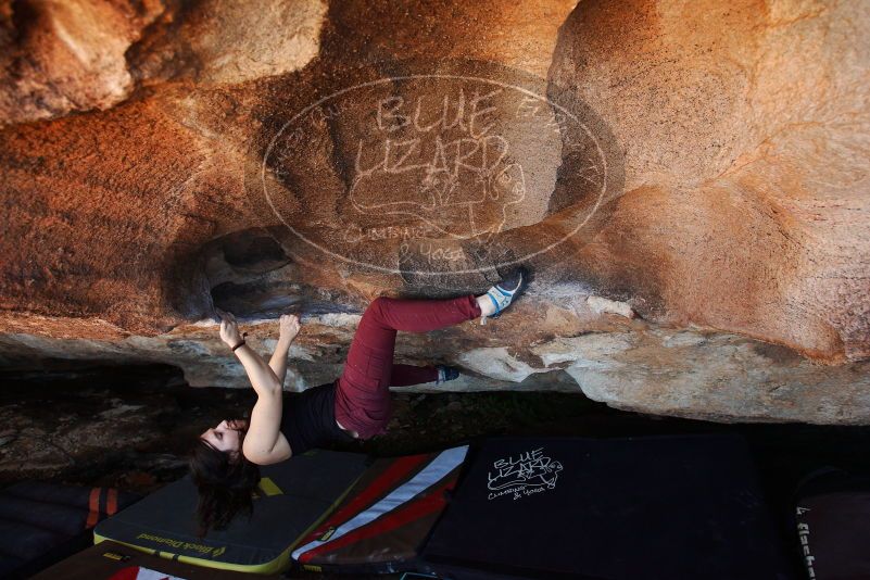 Bouldering in Hueco Tanks on 11/02/2018 with Blue Lizard Climbing and Yoga

Filename: SRM_20181102_1402510.jpg
Aperture: f/4.0
Shutter Speed: 1/320
Body: Canon EOS-1D Mark II
Lens: Canon EF 16-35mm f/2.8 L