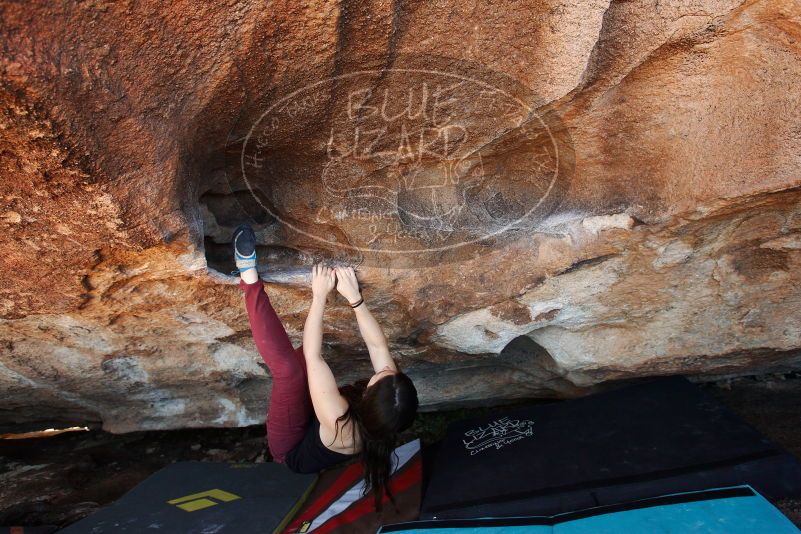 Bouldering in Hueco Tanks on 11/02/2018 with Blue Lizard Climbing and Yoga
Filename: SRM_20181102_1415520.jpg
Aperture: f/4.5
Shutter Speed: 1/200
Body: Canon EOS-1D Mark II
Lens: Canon EF 16-35mm f/2.8 L