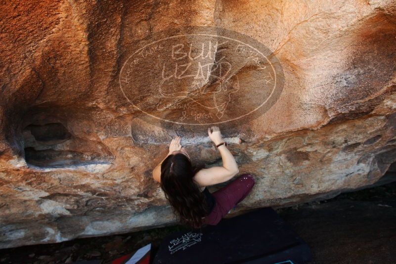 Bouldering in Hueco Tanks on 11/02/2018 with Blue Lizard Climbing and Yoga

Filename: SRM_20181102_1418350.jpg
Aperture: f/4.5
Shutter Speed: 1/250
Body: Canon EOS-1D Mark II
Lens: Canon EF 16-35mm f/2.8 L