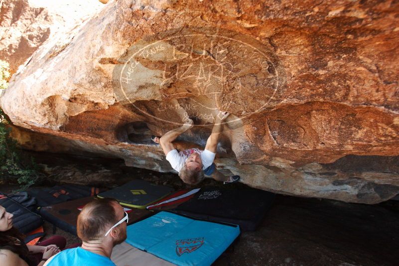 Bouldering in Hueco Tanks on 11/02/2018 with Blue Lizard Climbing and Yoga
Filename: SRM_20181102_1419370.jpg
Aperture: f/4.5
Shutter Speed: 1/400
Body: Canon EOS-1D Mark II
Lens: Canon EF 16-35mm f/2.8 L