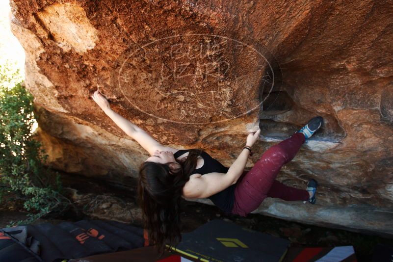Bouldering in Hueco Tanks on 11/02/2018 with Blue Lizard Climbing and Yoga
Filename: SRM_20181102_1425310.jpg
Aperture: f/4.5
Shutter Speed: 1/250
Body: Canon EOS-1D Mark II
Lens: Canon EF 16-35mm f/2.8 L