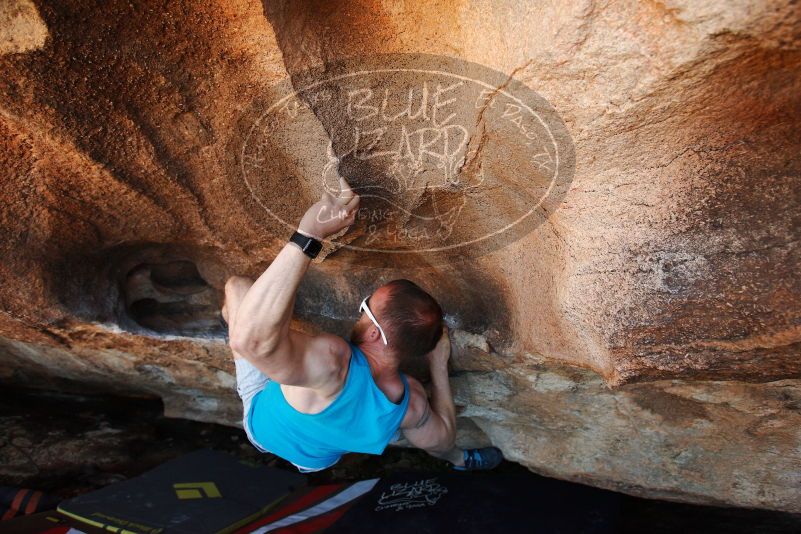 Bouldering in Hueco Tanks on 11/02/2018 with Blue Lizard Climbing and Yoga
Filename: SRM_20181102_1435050.jpg
Aperture: f/4.0
Shutter Speed: 1/400
Body: Canon EOS-1D Mark II
Lens: Canon EF 16-35mm f/2.8 L