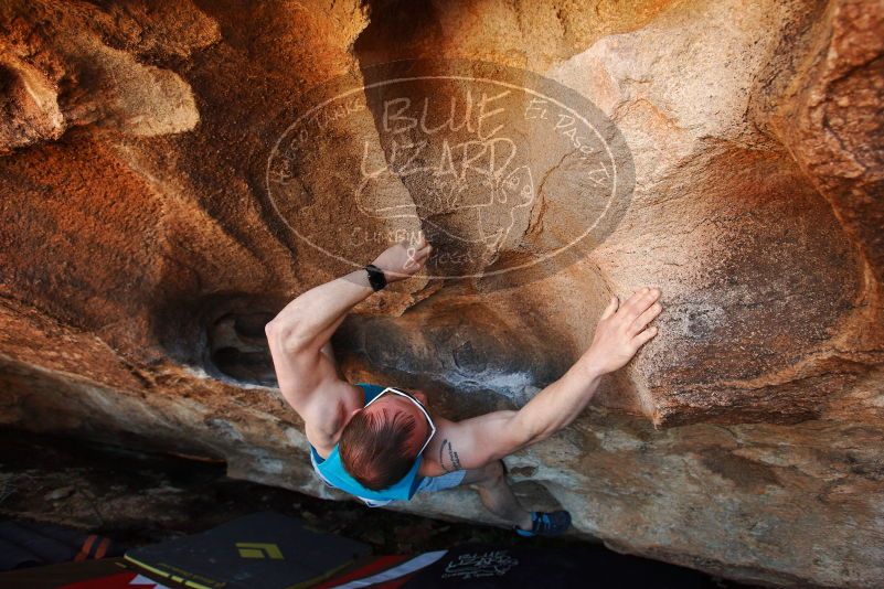 Bouldering in Hueco Tanks on 11/02/2018 with Blue Lizard Climbing and Yoga
Filename: SRM_20181102_1435090.jpg
Aperture: f/4.0
Shutter Speed: 1/400
Body: Canon EOS-1D Mark II
Lens: Canon EF 16-35mm f/2.8 L