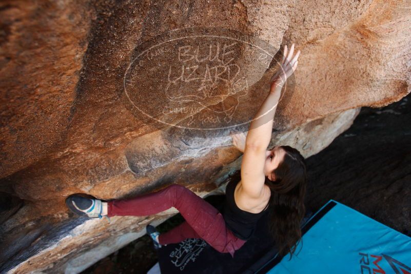 Bouldering in Hueco Tanks on 11/02/2018 with Blue Lizard Climbing and Yoga
Filename: SRM_20181102_1448131.jpg
Aperture: f/4.0
Shutter Speed: 1/250
Body: Canon EOS-1D Mark II
Lens: Canon EF 16-35mm f/2.8 L