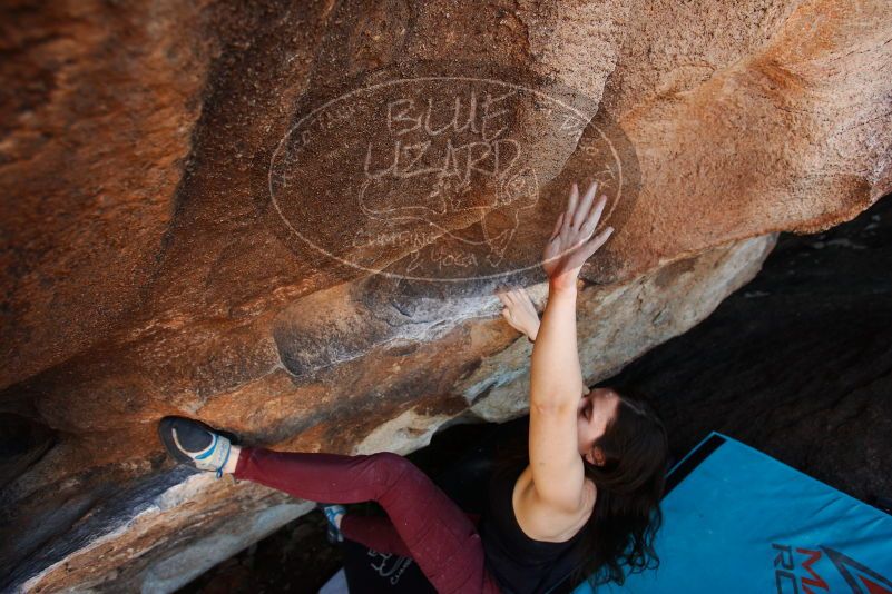 Bouldering in Hueco Tanks on 11/02/2018 with Blue Lizard Climbing and Yoga
Filename: SRM_20181102_1448140.jpg
Aperture: f/4.0
Shutter Speed: 1/320
Body: Canon EOS-1D Mark II
Lens: Canon EF 16-35mm f/2.8 L