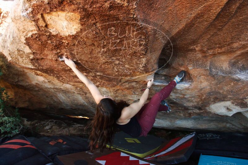 Bouldering in Hueco Tanks on 11/02/2018 with Blue Lizard Climbing and Yoga
Filename: SRM_20181102_1505060.jpg
Aperture: f/4.0
Shutter Speed: 1/320
Body: Canon EOS-1D Mark II
Lens: Canon EF 16-35mm f/2.8 L