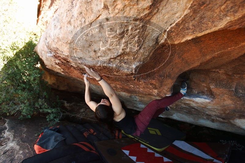 Bouldering in Hueco Tanks on 11/02/2018 with Blue Lizard Climbing and Yoga
Filename: SRM_20181102_1514440.jpg
Aperture: f/4.0
Shutter Speed: 1/400
Body: Canon EOS-1D Mark II
Lens: Canon EF 16-35mm f/2.8 L