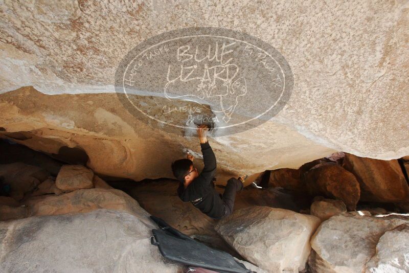 Bouldering in Hueco Tanks on 11/03/2018 with Blue Lizard Climbing and Yoga
Filename: SRM_20181103_0934471.jpg
Aperture: f/5.6
Shutter Speed: 1/400
Body: Canon EOS-1D Mark II
Lens: Canon EF 16-35mm f/2.8 L