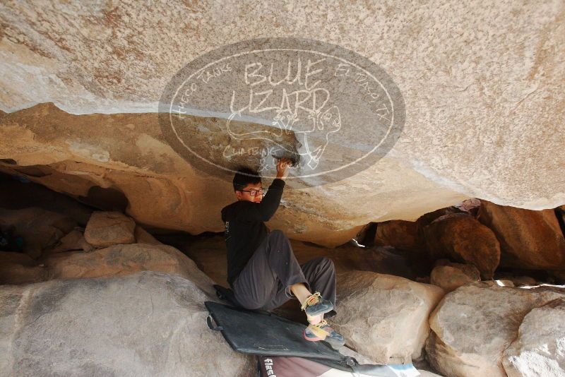 Bouldering in Hueco Tanks on 11/03/2018 with Blue Lizard Climbing and Yoga
Filename: SRM_20181103_0934481.jpg
Aperture: f/5.6
Shutter Speed: 1/500
Body: Canon EOS-1D Mark II
Lens: Canon EF 16-35mm f/2.8 L