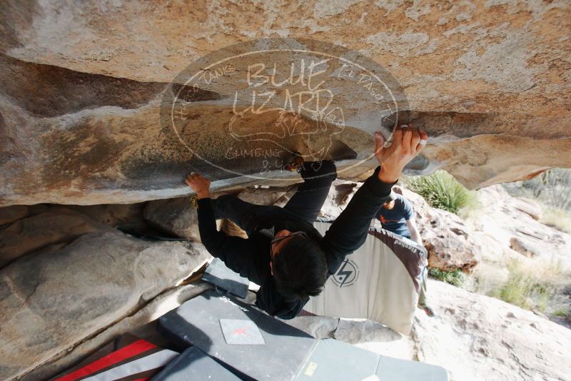 Bouldering in Hueco Tanks on 11/03/2018 with Blue Lizard Climbing and Yoga
Filename: SRM_20181103_0936070.jpg
Aperture: f/5.6
Shutter Speed: 1/320
Body: Canon EOS-1D Mark II
Lens: Canon EF 16-35mm f/2.8 L