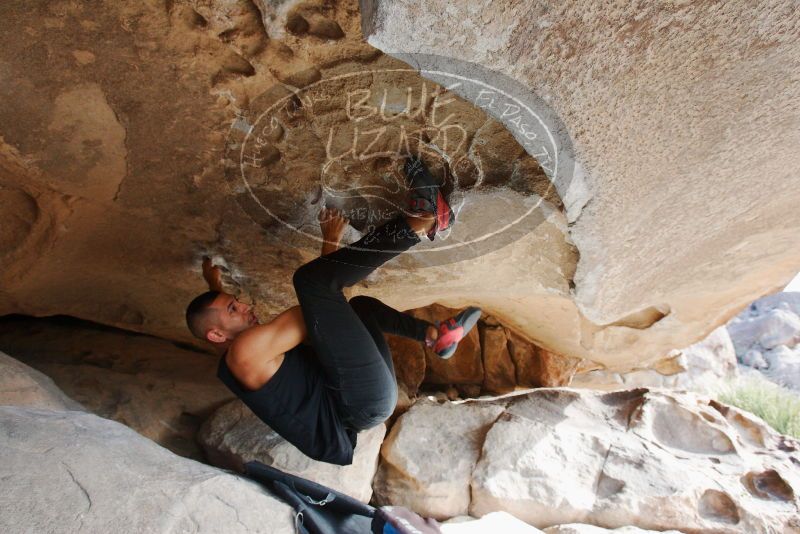 Bouldering in Hueco Tanks on 11/03/2018 with Blue Lizard Climbing and Yoga

Filename: SRM_20181103_0943030.jpg
Aperture: f/5.6
Shutter Speed: 1/200
Body: Canon EOS-1D Mark II
Lens: Canon EF 16-35mm f/2.8 L