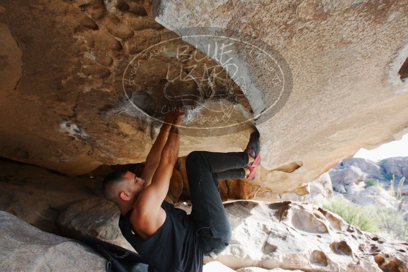 Bouldering in Hueco Tanks on 11/03/2018 with Blue Lizard Climbing and Yoga
Filename: SRM_20181103_0943110.jpg
Aperture: f/5.6
Shutter Speed: 1/320
Body: Canon EOS-1D Mark II
Lens: Canon EF 16-35mm f/2.8 L