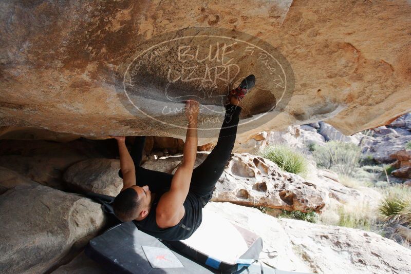 Bouldering in Hueco Tanks on 11/03/2018 with Blue Lizard Climbing and Yoga

Filename: SRM_20181103_0943240.jpg
Aperture: f/5.6
Shutter Speed: 1/500
Body: Canon EOS-1D Mark II
Lens: Canon EF 16-35mm f/2.8 L