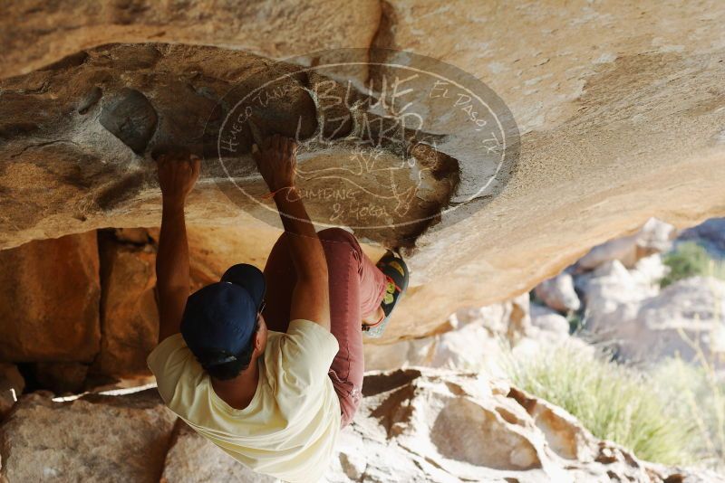 Bouldering in Hueco Tanks on 11/03/2018 with Blue Lizard Climbing and Yoga

Filename: SRM_20181103_1000211.jpg
Aperture: f/4.0
Shutter Speed: 1/640
Body: Canon EOS-1D Mark II
Lens: Canon EF 50mm f/1.8 II