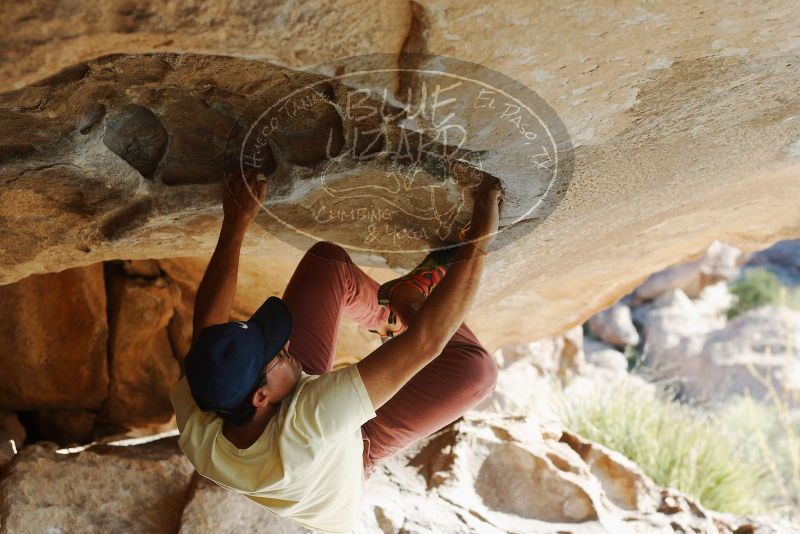 Bouldering in Hueco Tanks on 11/03/2018 with Blue Lizard Climbing and Yoga

Filename: SRM_20181103_1000240.jpg
Aperture: f/4.0
Shutter Speed: 1/640
Body: Canon EOS-1D Mark II
Lens: Canon EF 50mm f/1.8 II