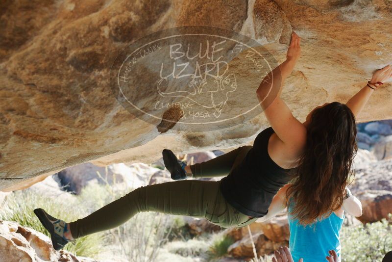 Bouldering in Hueco Tanks on 11/03/2018 with Blue Lizard Climbing and Yoga
Filename: SRM_20181103_1005160.jpg
Aperture: f/4.0
Shutter Speed: 1/800
Body: Canon EOS-1D Mark II
Lens: Canon EF 50mm f/1.8 II