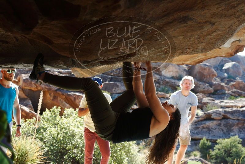 Bouldering in Hueco Tanks on 11/03/2018 with Blue Lizard Climbing and Yoga

Filename: SRM_20181103_1010201.jpg
Aperture: f/5.6
Shutter Speed: 1/400
Body: Canon EOS-1D Mark II
Lens: Canon EF 50mm f/1.8 II