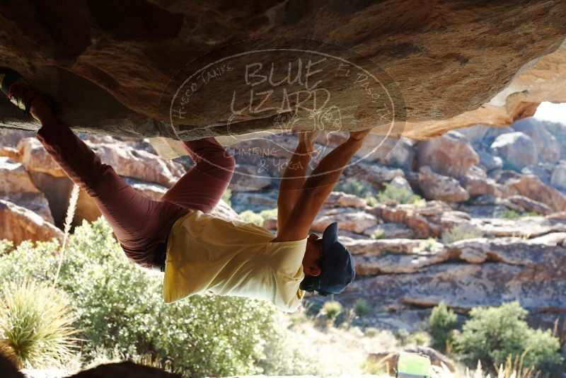 Bouldering in Hueco Tanks on 11/03/2018 with Blue Lizard Climbing and Yoga

Filename: SRM_20181103_1019100.jpg
Aperture: f/5.6
Shutter Speed: 1/320
Body: Canon EOS-1D Mark II
Lens: Canon EF 50mm f/1.8 II