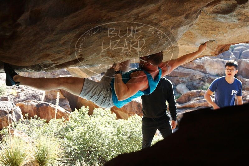 Bouldering in Hueco Tanks on 11/03/2018 with Blue Lizard Climbing and Yoga
Filename: SRM_20181103_1037180.jpg
Aperture: f/5.6
Shutter Speed: 1/500
Body: Canon EOS-1D Mark II
Lens: Canon EF 50mm f/1.8 II