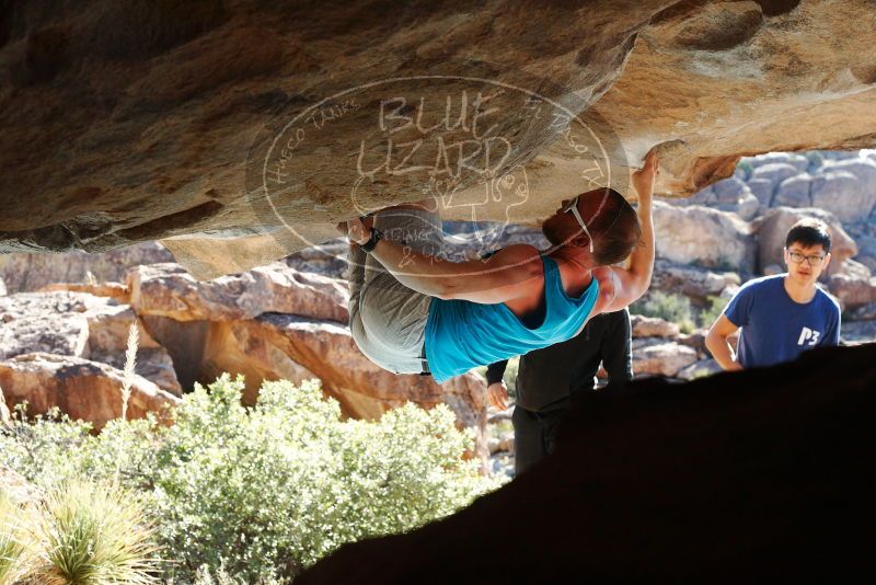 Bouldering in Hueco Tanks on 11/03/2018 with Blue Lizard Climbing and Yoga

Filename: SRM_20181103_1037210.jpg
Aperture: f/5.6
Shutter Speed: 1/500
Body: Canon EOS-1D Mark II
Lens: Canon EF 50mm f/1.8 II