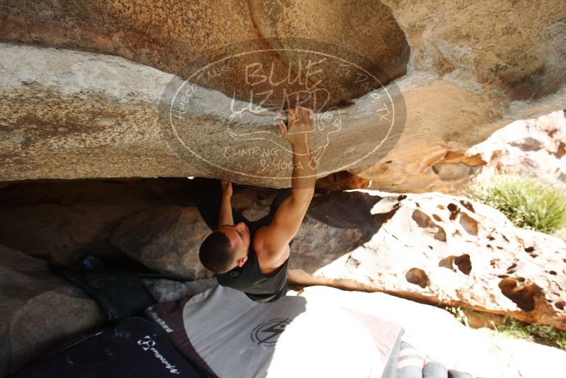 Bouldering in Hueco Tanks on 11/03/2018 with Blue Lizard Climbing and Yoga
Filename: SRM_20181103_1045011.jpg
Aperture: f/5.6
Shutter Speed: 1/640
Body: Canon EOS-1D Mark II
Lens: Canon EF 16-35mm f/2.8 L