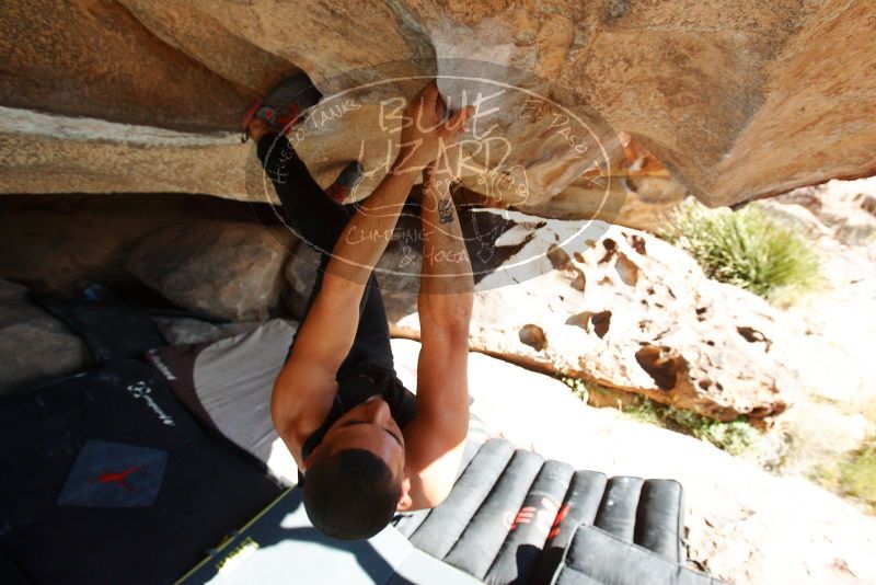 Bouldering in Hueco Tanks on 11/03/2018 with Blue Lizard Climbing and Yoga
Filename: SRM_20181103_1045200.jpg
Aperture: f/5.6
Shutter Speed: 1/800
Body: Canon EOS-1D Mark II
Lens: Canon EF 16-35mm f/2.8 L