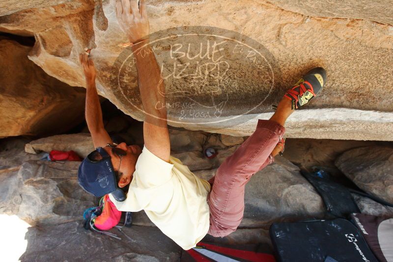 Bouldering in Hueco Tanks on 11/03/2018 with Blue Lizard Climbing and Yoga
Filename: SRM_20181103_1050060.jpg
Aperture: f/5.6
Shutter Speed: 1/400
Body: Canon EOS-1D Mark II
Lens: Canon EF 16-35mm f/2.8 L