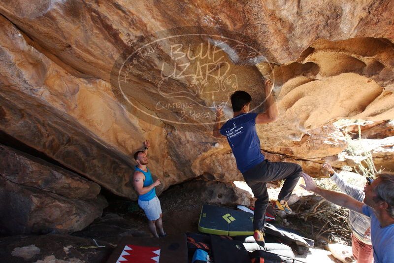 Bouldering in Hueco Tanks on 11/03/2018 with Blue Lizard Climbing and Yoga
Filename: SRM_20181103_1149190.jpg
Aperture: f/5.6
Shutter Speed: 1/400
Body: Canon EOS-1D Mark II
Lens: Canon EF 16-35mm f/2.8 L
