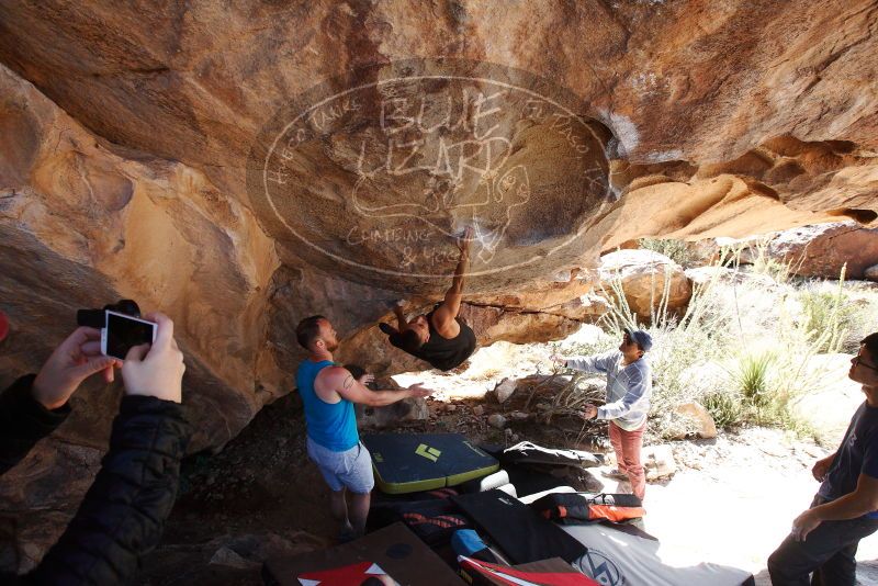 Bouldering in Hueco Tanks on 11/03/2018 with Blue Lizard Climbing and Yoga
Filename: SRM_20181103_1150300.jpg
Aperture: f/5.6
Shutter Speed: 1/500
Body: Canon EOS-1D Mark II
Lens: Canon EF 16-35mm f/2.8 L