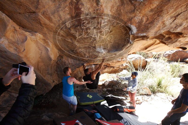 Bouldering in Hueco Tanks on 11/03/2018 with Blue Lizard Climbing and Yoga
Filename: SRM_20181103_1150302.jpg
Aperture: f/5.6
Shutter Speed: 1/500
Body: Canon EOS-1D Mark II
Lens: Canon EF 16-35mm f/2.8 L
