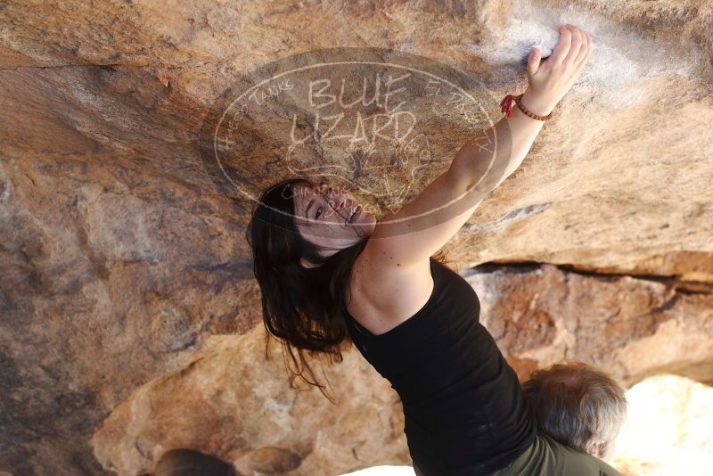 Bouldering in Hueco Tanks on 11/03/2018 with Blue Lizard Climbing and Yoga
Filename: SRM_20181103_1158520.jpg
Aperture: f/4.0
Shutter Speed: 1/320
Body: Canon EOS-1D Mark II
Lens: Canon EF 50mm f/1.8 II