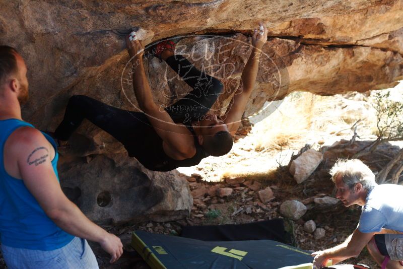 Bouldering in Hueco Tanks on 11/03/2018 with Blue Lizard Climbing and Yoga

Filename: SRM_20181103_1159440.jpg
Aperture: f/4.0
Shutter Speed: 1/500
Body: Canon EOS-1D Mark II
Lens: Canon EF 50mm f/1.8 II