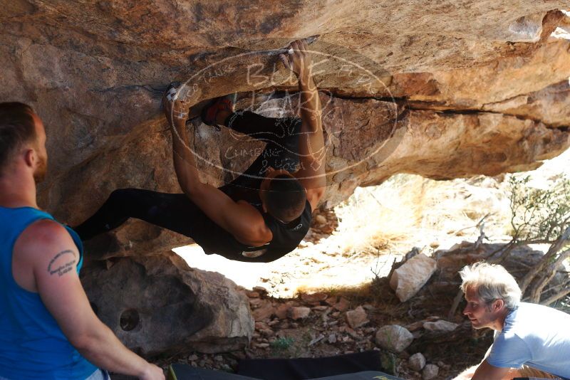 Bouldering in Hueco Tanks on 11/03/2018 with Blue Lizard Climbing and Yoga
Filename: SRM_20181103_1159450.jpg
Aperture: f/4.0
Shutter Speed: 1/640
Body: Canon EOS-1D Mark II
Lens: Canon EF 50mm f/1.8 II