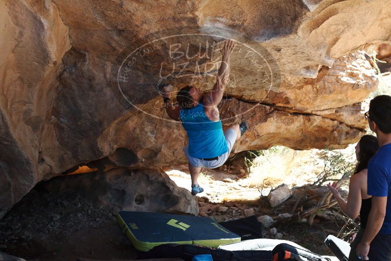 Bouldering in Hueco Tanks on 11/03/2018 with Blue Lizard Climbing and Yoga

Filename: SRM_20181103_1201581.jpg
Aperture: f/4.0
Shutter Speed: 1/500
Body: Canon EOS-1D Mark II
Lens: Canon EF 50mm f/1.8 II