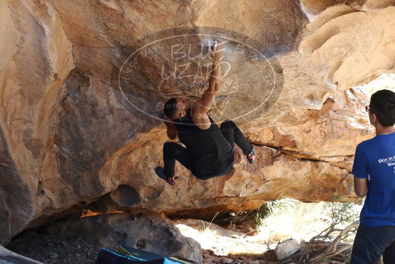 Bouldering in Hueco Tanks on 11/03/2018 with Blue Lizard Climbing and Yoga

Filename: SRM_20181103_1202271.jpg
Aperture: f/4.0
Shutter Speed: 1/400
Body: Canon EOS-1D Mark II
Lens: Canon EF 50mm f/1.8 II