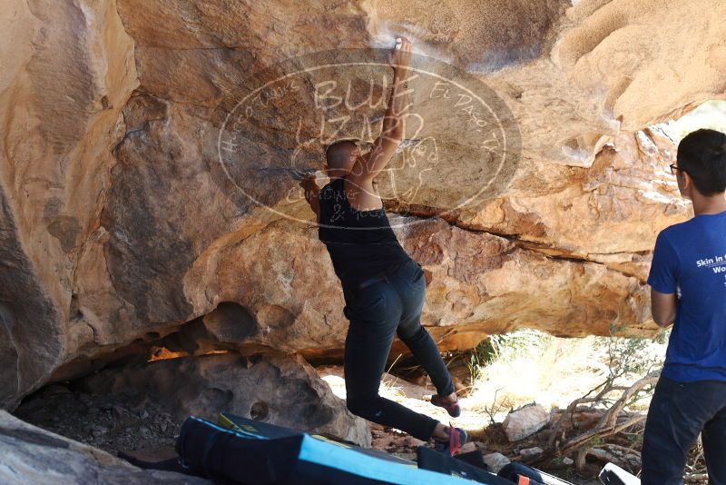 Bouldering in Hueco Tanks on 11/03/2018 with Blue Lizard Climbing and Yoga
Filename: SRM_20181103_1202280.jpg
Aperture: f/4.0
Shutter Speed: 1/400
Body: Canon EOS-1D Mark II
Lens: Canon EF 50mm f/1.8 II