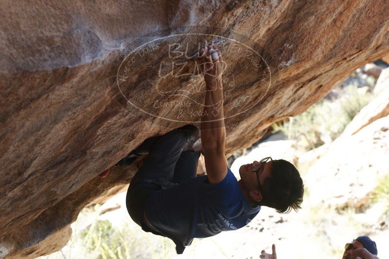 Bouldering in Hueco Tanks on 11/03/2018 with Blue Lizard Climbing and Yoga
Filename: SRM_20181103_1204011.jpg
Aperture: f/4.0
Shutter Speed: 1/800
Body: Canon EOS-1D Mark II
Lens: Canon EF 50mm f/1.8 II