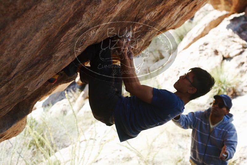 Bouldering in Hueco Tanks on 11/03/2018 with Blue Lizard Climbing and Yoga

Filename: SRM_20181103_1224470.jpg
Aperture: f/4.0
Shutter Speed: 1/1600
Body: Canon EOS-1D Mark II
Lens: Canon EF 50mm f/1.8 II