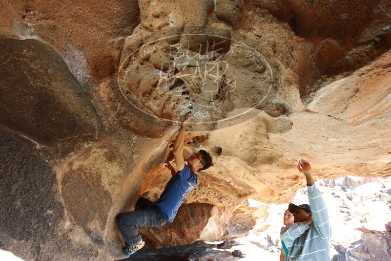 Bouldering in Hueco Tanks on 11/03/2018 with Blue Lizard Climbing and Yoga
Filename: SRM_20181103_1435330.jpg
Aperture: f/5.6
Shutter Speed: 1/250
Body: Canon EOS-1D Mark II
Lens: Canon EF 16-35mm f/2.8 L