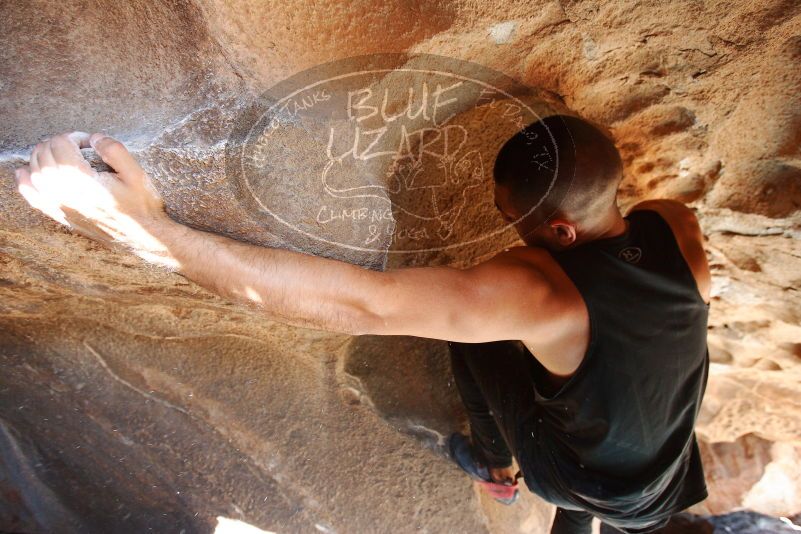 Bouldering in Hueco Tanks on 11/03/2018 with Blue Lizard Climbing and Yoga
Filename: SRM_20181103_1448592.jpg
Aperture: f/4.0
Shutter Speed: 1/200
Body: Canon EOS-1D Mark II
Lens: Canon EF 16-35mm f/2.8 L