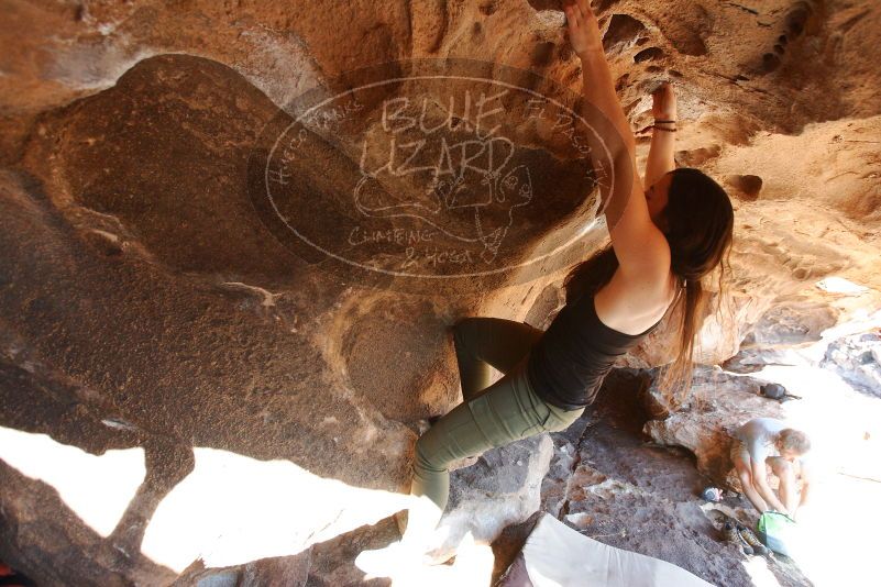 Bouldering in Hueco Tanks on 11/03/2018 with Blue Lizard Climbing and Yoga
Filename: SRM_20181103_1450300.jpg
Aperture: f/4.0
Shutter Speed: 1/320
Body: Canon EOS-1D Mark II
Lens: Canon EF 16-35mm f/2.8 L