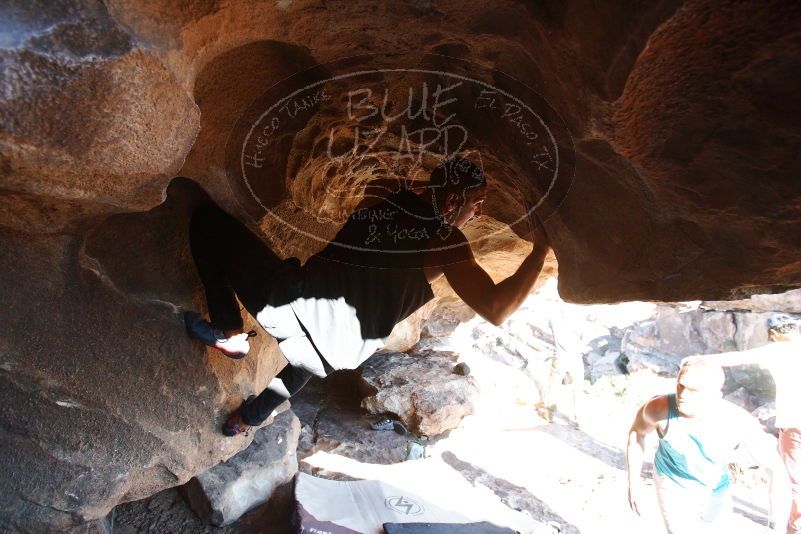 Bouldering in Hueco Tanks on 11/03/2018 with Blue Lizard Climbing and Yoga

Filename: SRM_20181103_1529080.jpg
Aperture: f/4.0
Shutter Speed: 1/400
Body: Canon EOS-1D Mark II
Lens: Canon EF 16-35mm f/2.8 L