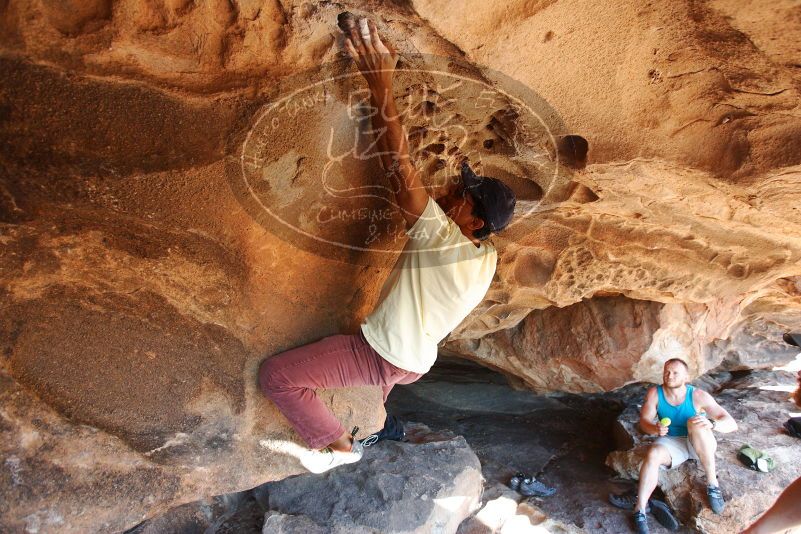 Bouldering in Hueco Tanks on 11/03/2018 with Blue Lizard Climbing and Yoga

Filename: SRM_20181103_1532350.jpg
Aperture: f/4.0
Shutter Speed: 1/320
Body: Canon EOS-1D Mark II
Lens: Canon EF 16-35mm f/2.8 L