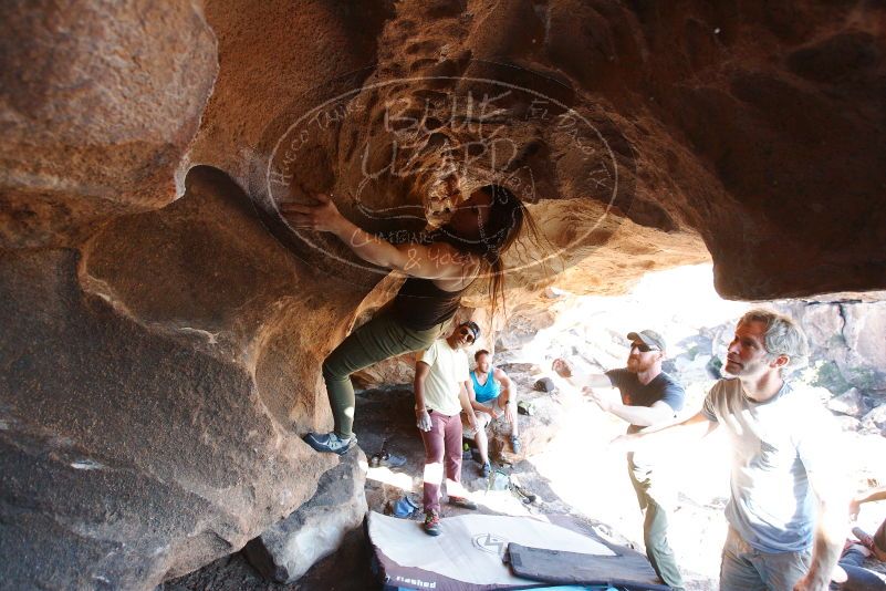 Bouldering in Hueco Tanks on 11/03/2018 with Blue Lizard Climbing and Yoga
Filename: SRM_20181103_1536560.jpg
Aperture: f/4.0
Shutter Speed: 1/400
Body: Canon EOS-1D Mark II
Lens: Canon EF 16-35mm f/2.8 L