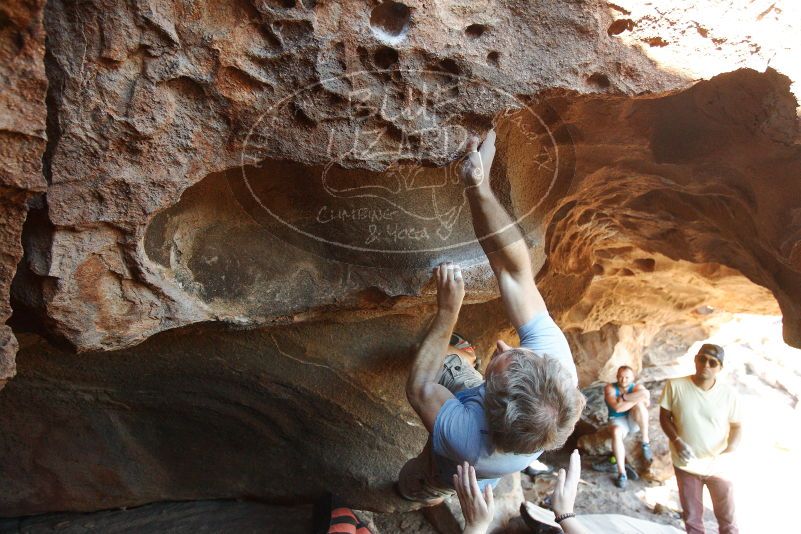 Bouldering in Hueco Tanks on 11/03/2018 with Blue Lizard Climbing and Yoga

Filename: SRM_20181103_1544080.jpg
Aperture: f/4.0
Shutter Speed: 1/400
Body: Canon EOS-1D Mark II
Lens: Canon EF 16-35mm f/2.8 L