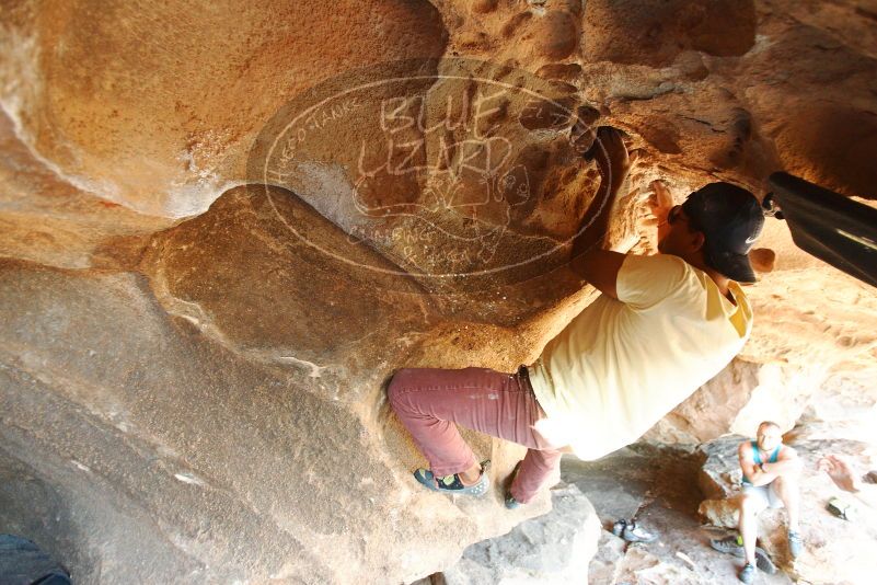 Bouldering in Hueco Tanks on 11/03/2018 with Blue Lizard Climbing and Yoga
Filename: SRM_20181103_1544401.jpg
Aperture: f/2.8
Shutter Speed: 1/200
Body: Canon EOS-1D Mark II
Lens: Canon EF 16-35mm f/2.8 L