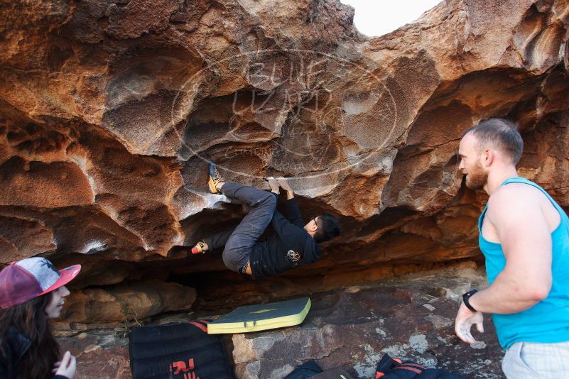 Bouldering in Hueco Tanks on 11/03/2018 with Blue Lizard Climbing and Yoga

Filename: SRM_20181103_1634480.jpg
Aperture: f/4.0
Shutter Speed: 1/250
Body: Canon EOS-1D Mark II
Lens: Canon EF 16-35mm f/2.8 L